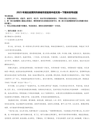 2025年湖北省黄冈市麻城市实验高中语文高一下期末统考试题含解析
