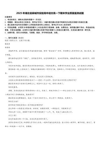 2025年湖北省麻城市实验高中语文高一下期末学业质量监测试题含解析