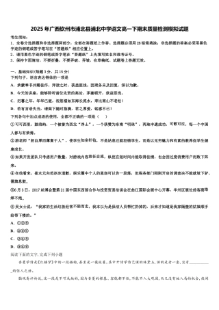 2025年广西钦州市浦北县浦北中学语文高一下期末质量检测模拟试题含解析