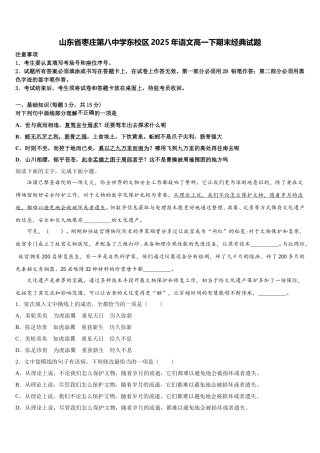山东省枣庄第八中学东校区2025年语文高一下期末经典试题含解析
