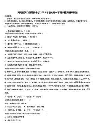 湖南省洞口县第四中学2025年语文高一下期末检测模拟试题含解析