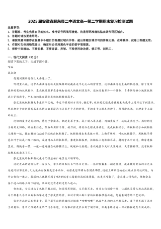 2025届安徽省肥东县二中语文高一第二学期期末复习检测试题含解析