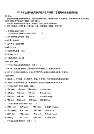 2025年盐城市重点中学语文七年级第二学期期中综合测试试题含解析