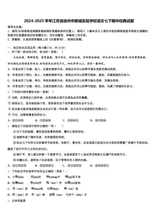2024-2025学年江苏省徐州市新城实验学校语文七下期中经典试题含解析