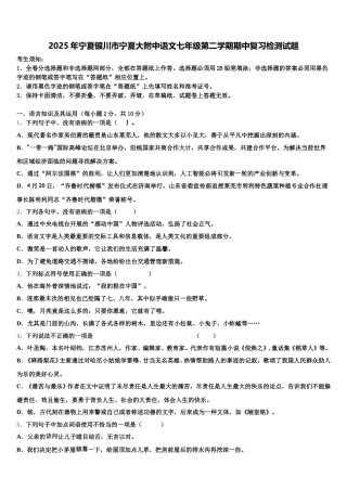 2025年宁夏银川市宁夏大附中语文七年级第二学期期中复习检测试题含解析