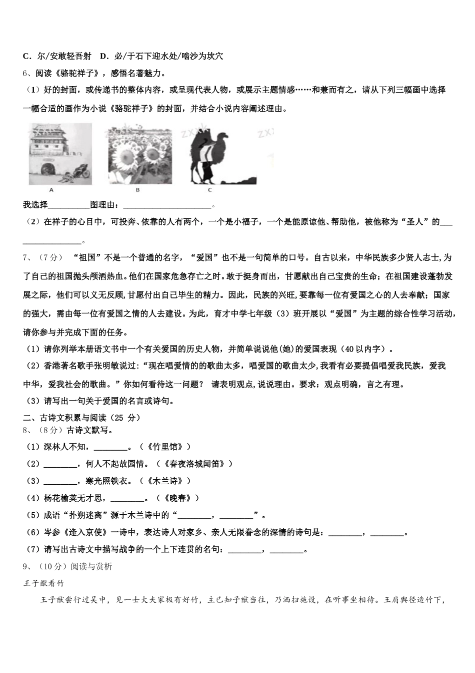 2024-2025学年四川省巴中巴州区七校联考语文七年级第二学期期中综合测试试题含解析_第2页