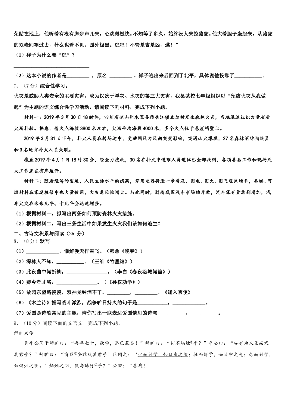 2025届四川省攀枝花十七中学语文七下期中经典试题含解析_第2页