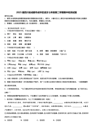 2025届四川省成都市成华区语文七年级第二学期期中检测试题含解析