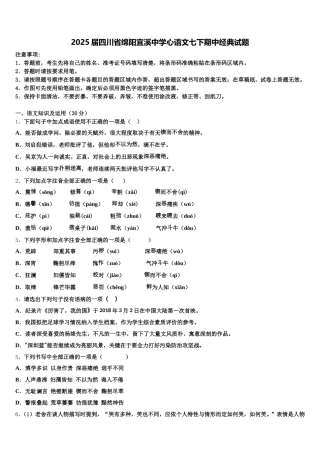 2025届四川省绵阳宜溪中学心语文七下期中经典试题含解析