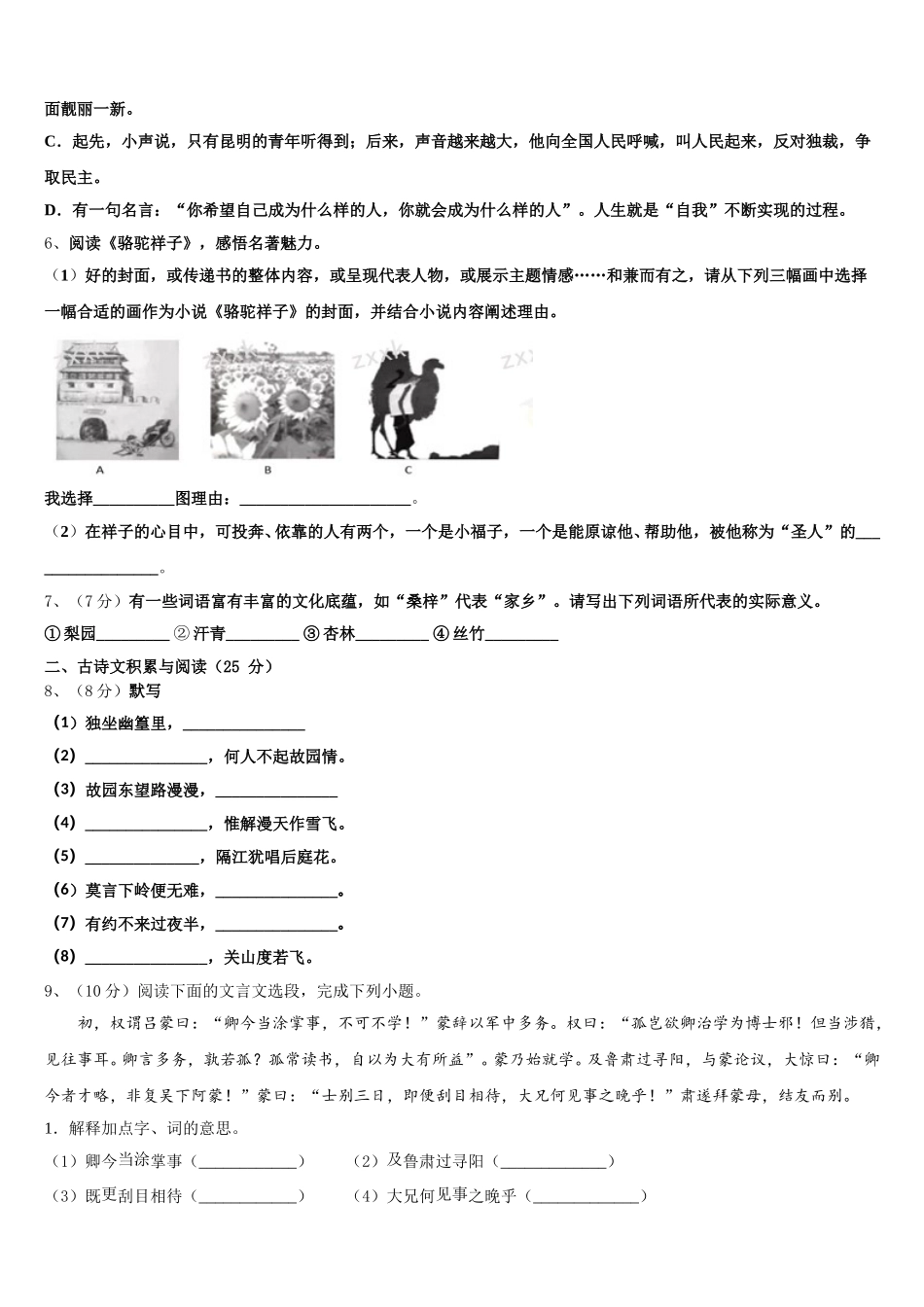 2024-2025学年甘肃省武威市凉州区洪祥中学七下语文期中达标检测试题含解析_第2页