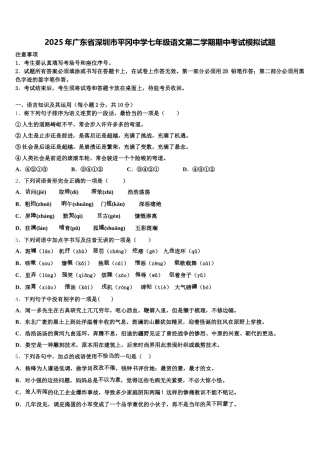 2025年广东省深圳市平冈中学七年级语文第二学期期中考试模拟试题含解析