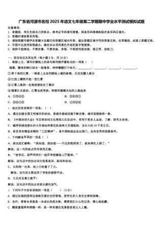 广东省河源市名校2025年语文七年级第二学期期中学业水平测试模拟试题含解析