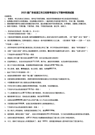 2025届广东省湛江市三校联考语文七下期中预测试题含解析