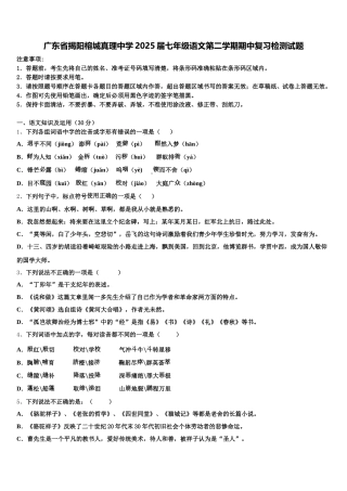 广东省揭阳榕城真理中学2025届七年级语文第二学期期中复习检测试题含解析