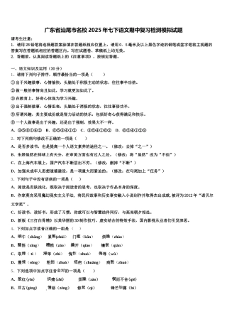 广东省汕尾市名校2025年七下语文期中复习检测模拟试题含解析