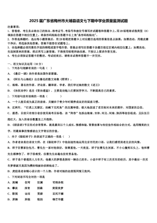 2025届广东省梅州市大埔县语文七下期中学业质量监测试题含解析
