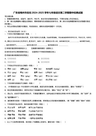 广东省梅州市名校2024-2025学年七年级语文第二学期期中经典试题含解析