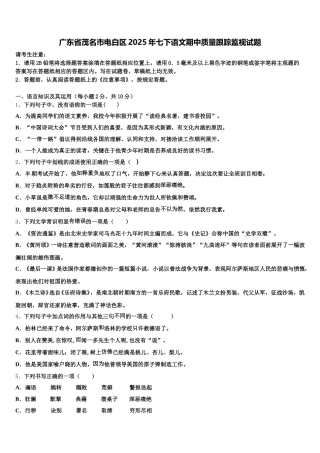 广东省茂名市电白区2025年七下语文期中质量跟踪监视试题含解析