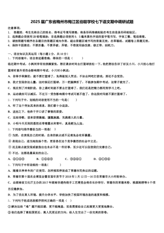 2025届广东省梅州市梅江区伯聪学校七下语文期中调研试题含解析