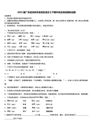 2025届广东省深圳市宝安区语文七下期中综合测试模拟试题含解析