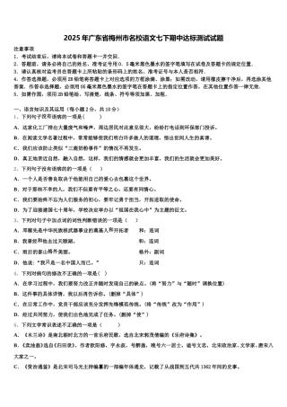 2025年广东省梅州市名校语文七下期中达标测试试题含解析