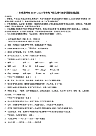 广东省惠州市2024-2025学年七下语文期中教学质量检测试题含解析