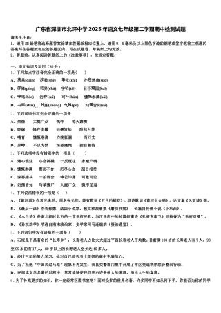 广东省深圳市北环中学2025年语文七年级第二学期期中检测试题含解析