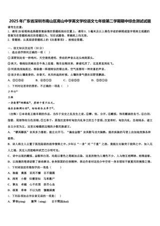 2025年广东省深圳市南山区南山中学英文学校语文七年级第二学期期中综合测试试题含解析