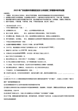 2025年广东省惠州市惠阳区语文七年级第二学期期中联考试题含解析