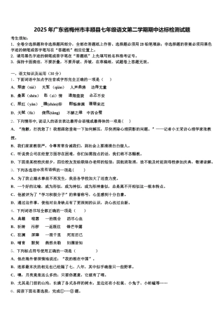 2025年广东省梅州市丰顺县七年级语文第二学期期中达标检测试题含解析