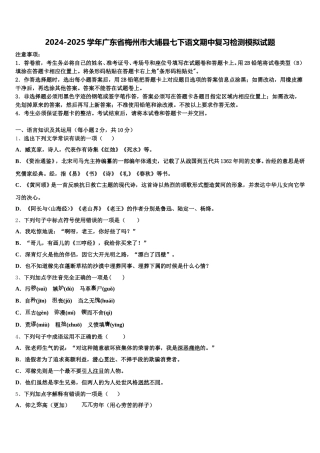 2024-2025学年广东省梅州市大埔县七下语文期中复习检测模拟试题含解析
