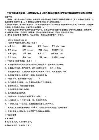 广东省阳江市阳春八甲中学2024-2025学年七年级语文第二学期期中复习检测试题含解析