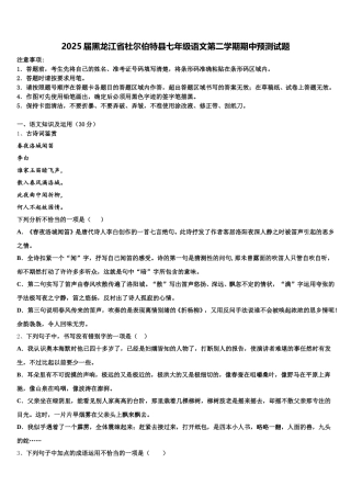 2025届黑龙江省杜尔伯特县七年级语文第二学期期中预测试题含解析