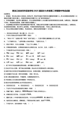 黑龙江省讷河市实验学校2025届语文七年级第二学期期中考试试题含解析
