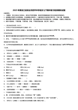 2025年黑龙江省安达市四平中学语文七下期中复习检测模拟试题含解析