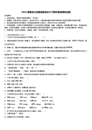2025届黑龙江省肇源县语文七下期中监测模拟试题含解析