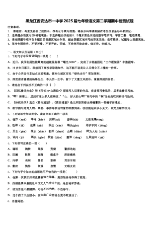 黑龙江省安达市一中学2025届七年级语文第二学期期中检测试题含解析