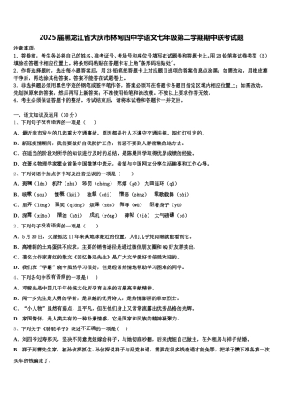 2025届黑龙江省大庆市林甸四中学语文七年级第二学期期中联考试题含解析