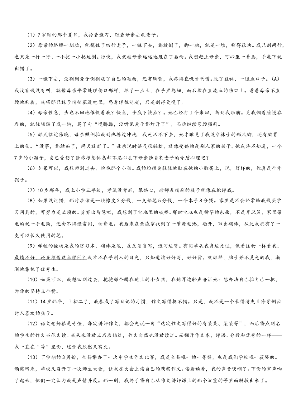 2024-2025学年陕西省延安市延长县语文七年级第二学期期中达标检测试题含解析_第3页