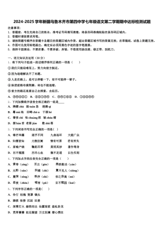 2024-2025学年新疆乌鲁木齐市第四中学七年级语文第二学期期中达标检测试题含解析