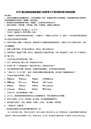 2025届山西省运城盐湖区七校联考七下语文期中复习检测试题含解析