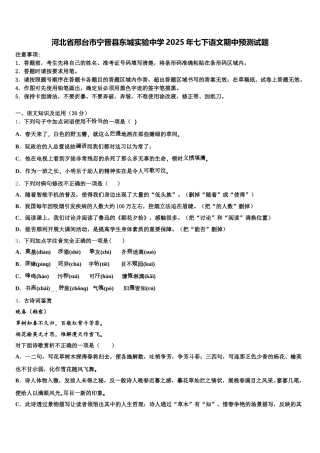 河北省邢台市宁晋县东城实验中学2025年七下语文期中预测试题含解析