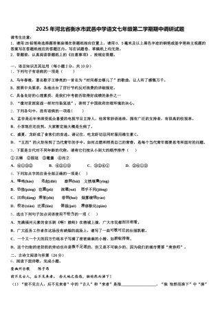 2025年河北省衡水市武邑中学语文七年级第二学期期中调研试题含解析