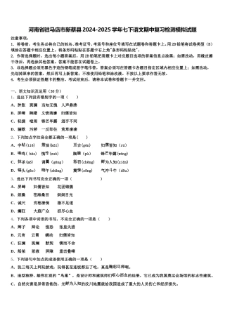 河南省驻马店市新蔡县2024-2025学年七下语文期中复习检测模拟试题含解析
