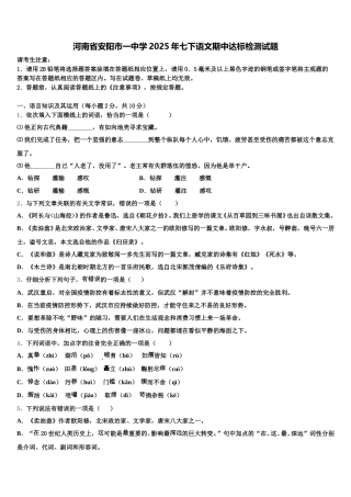 河南省安阳市一中学2025年七下语文期中达标检测试题含解析