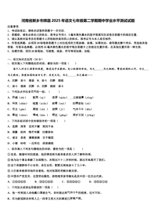 河南省新乡市辉县2025年语文七年级第二学期期中学业水平测试试题含解析