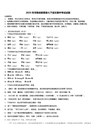 2025年河南省新蔡县七下语文期中考试试题含解析