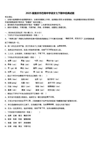 2025届重庆市巴南中学语文七下期中经典试题含解析
