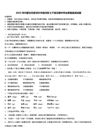 2025年内蒙古巴彦淖尔市临河区七下语文期中学业质量监测试题含解析