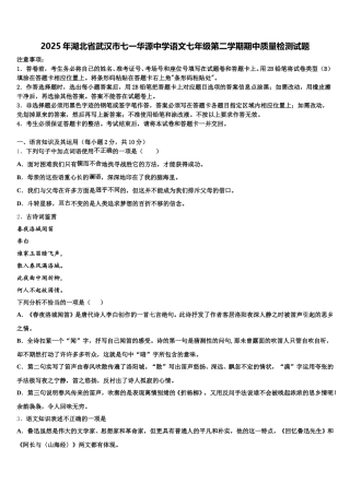 2025年湖北省武汉市七一华源中学语文七年级第二学期期中质量检测试题含解析